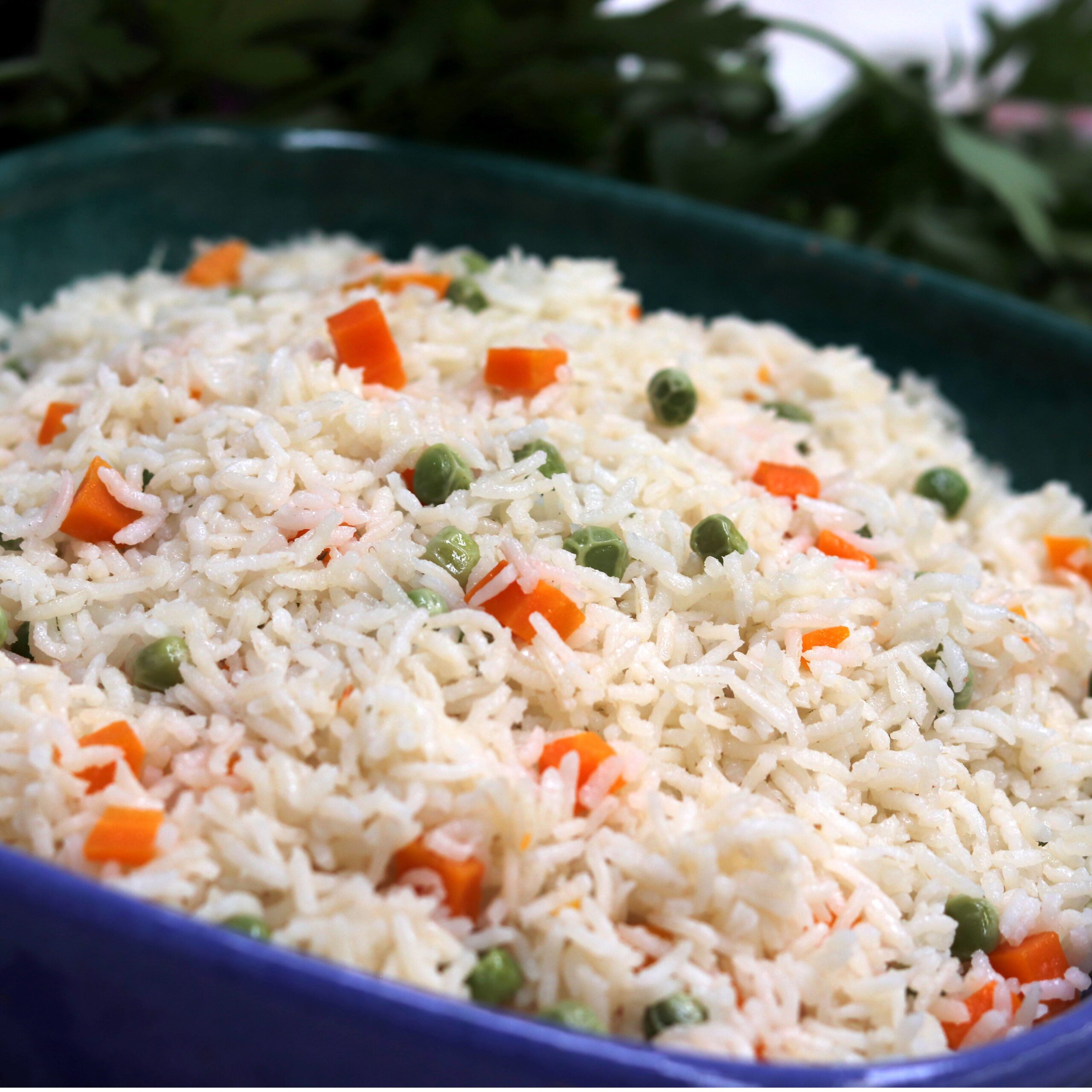 arroz blanco 2