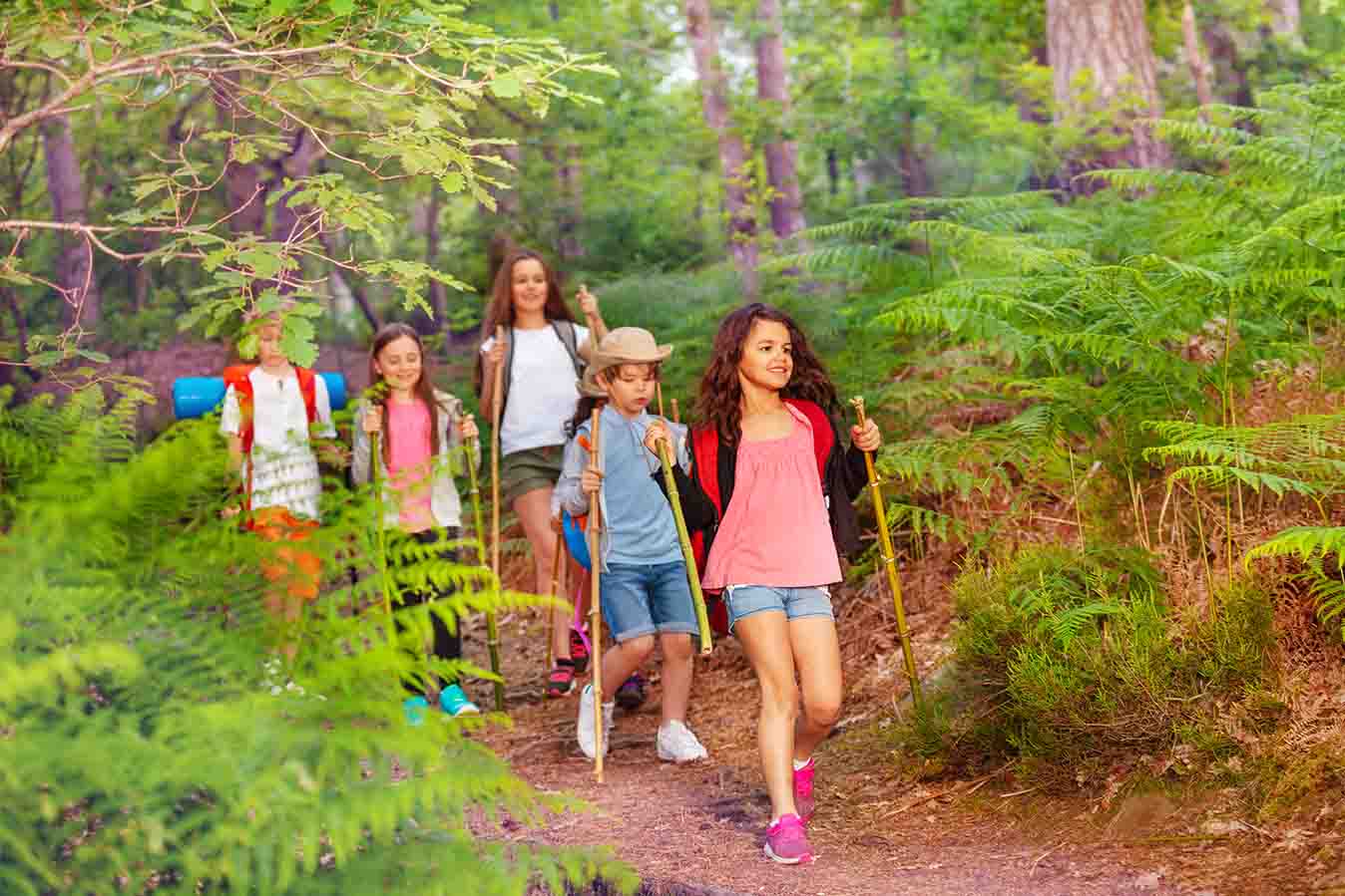 Group of kids walking and hiking in the forest