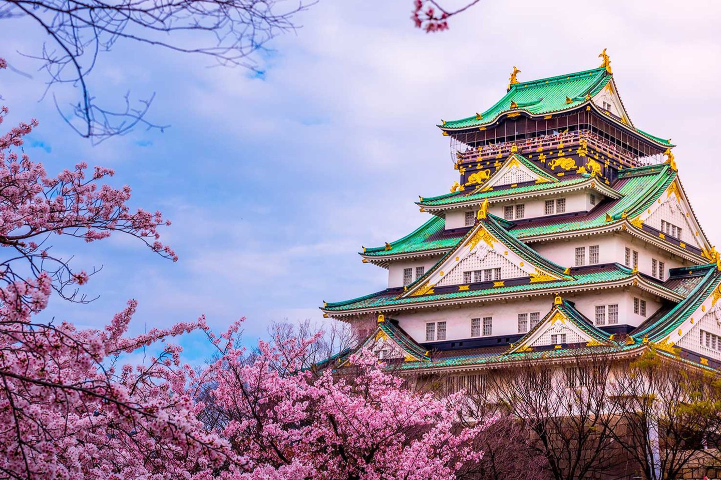 castillo de osaka japon